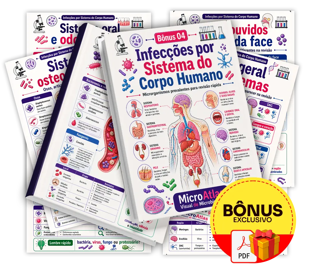 Mockup do bônus 3 - Infecções por Sistema do Corpo Humano
