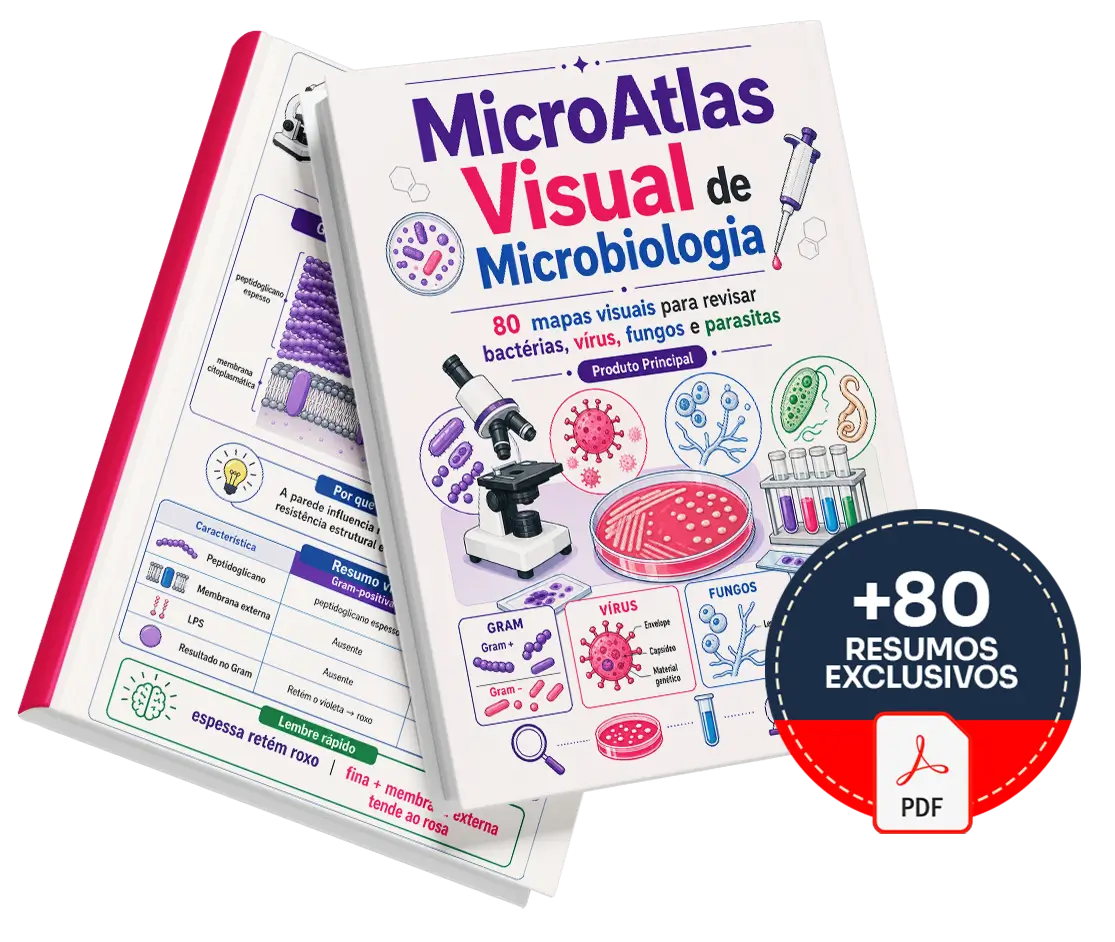 Mockup do Plano Básico