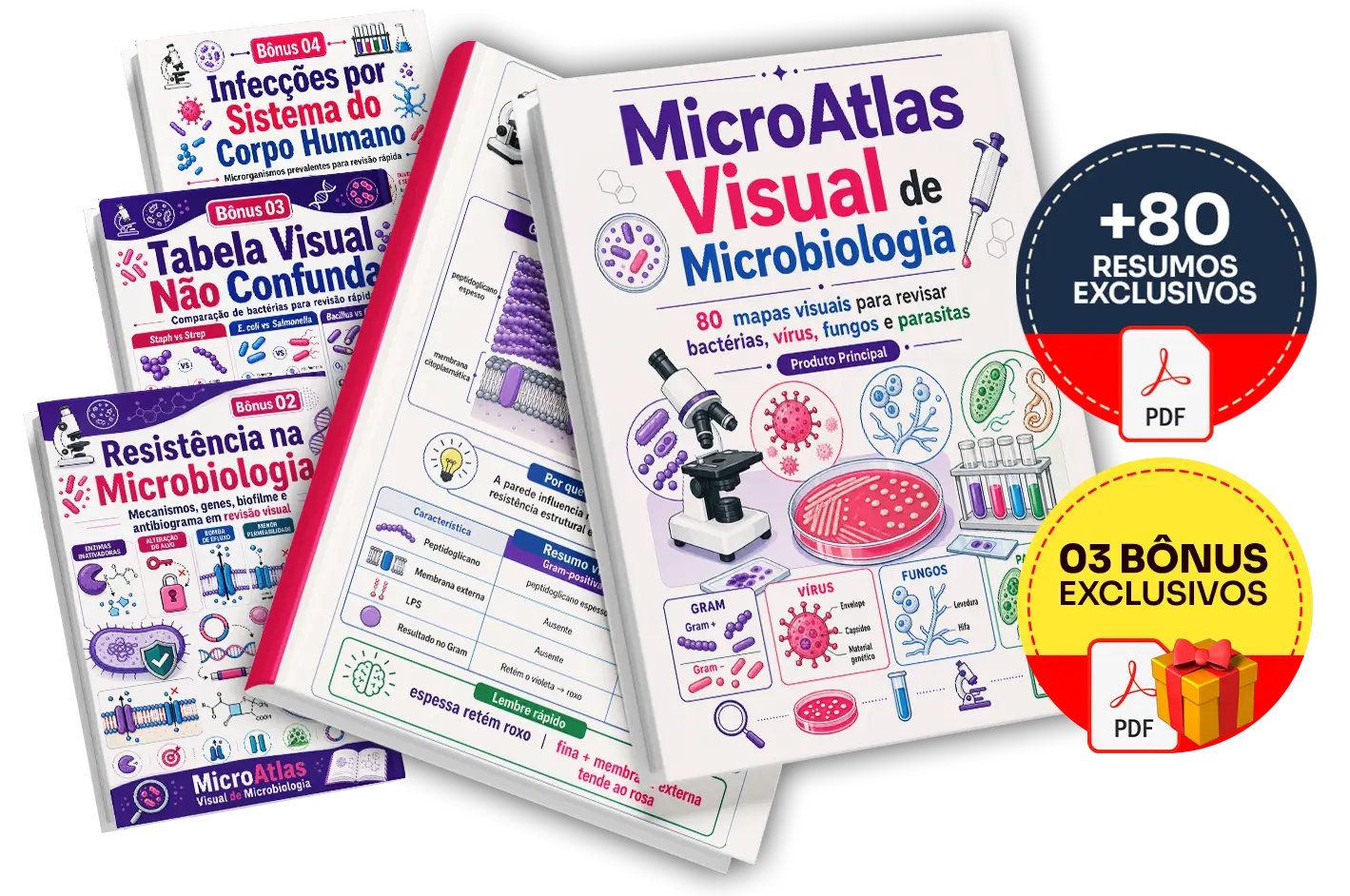 Mockup do Plano Completo
