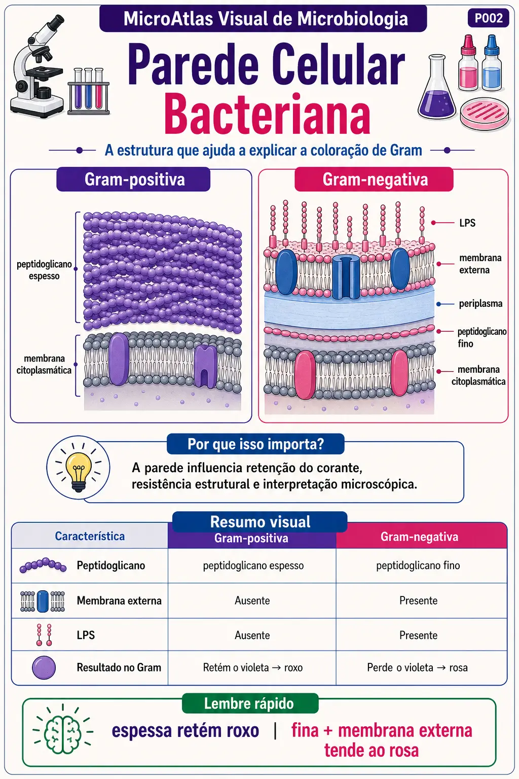 Prévia sobre parede celular bacteriana