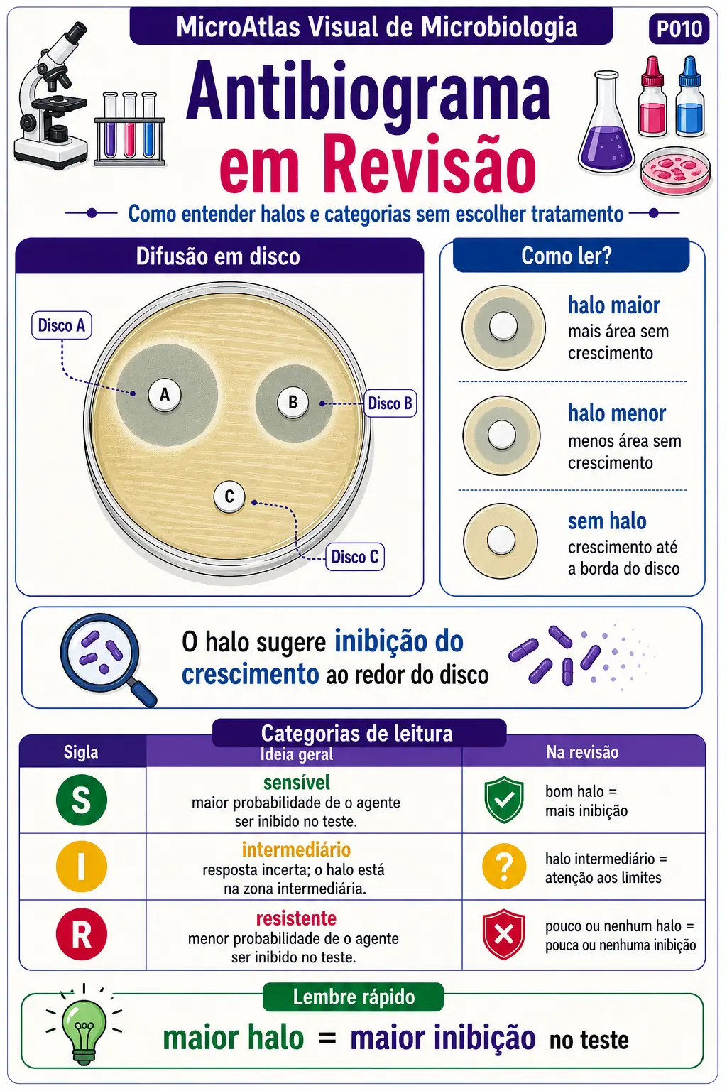 Prévia sobre antibiograma em revisão